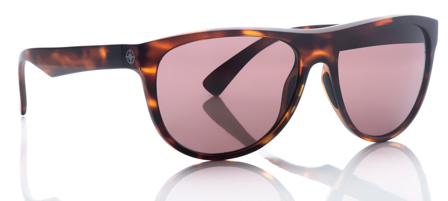 Revolution - Tortoise Shell Frame