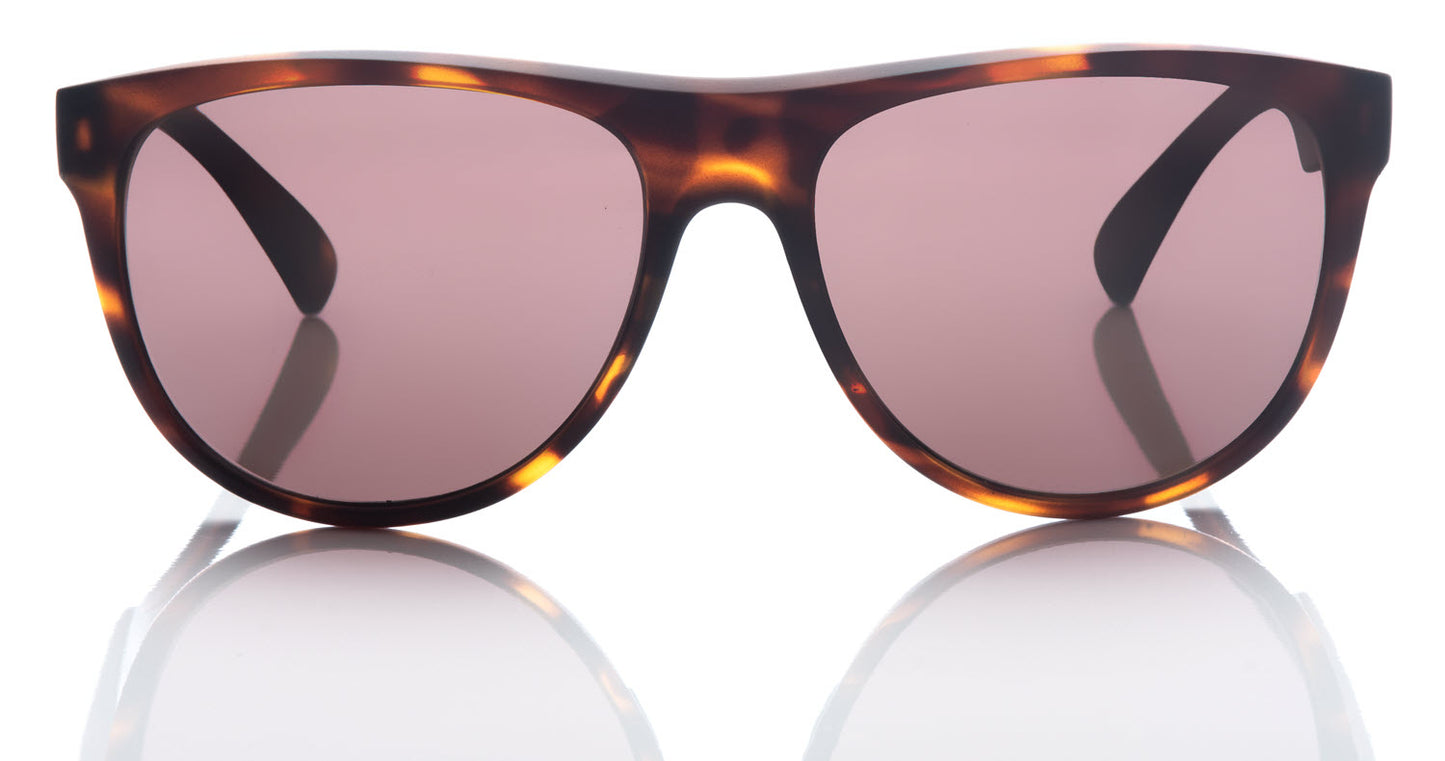 Revolution - Tortoise Shell Frame