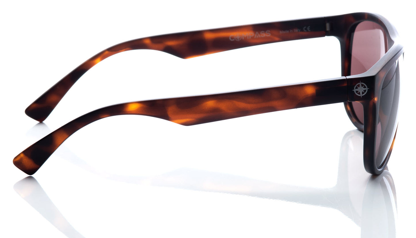 Revolution - Tortoise Shell Frame