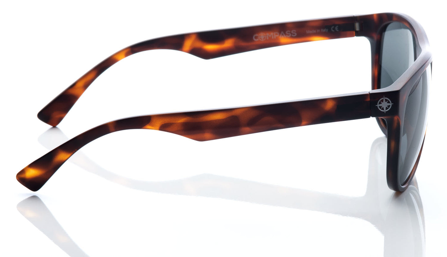 Revolution - Tortoise Shell Frame