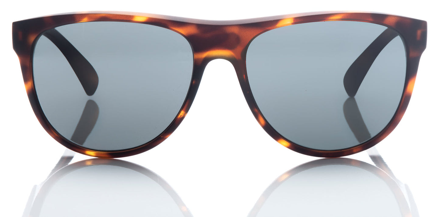 Revolution - Tortoise Shell Frame