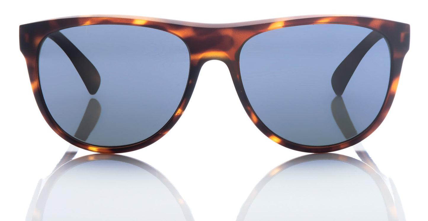 Revolution - Tortoise Shell Frame
