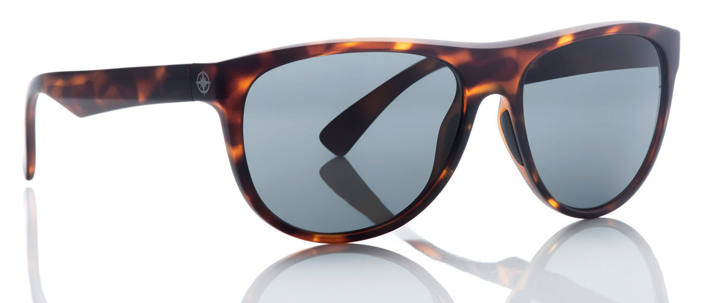 Revolution - Tortoise Shell Frame