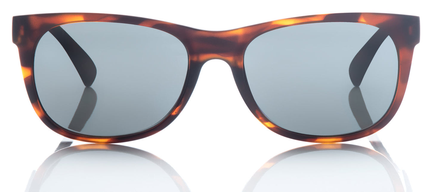 Northbound - Tortoise Shell Frame