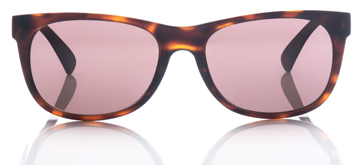 Northbound - Tortoise Shell Frame