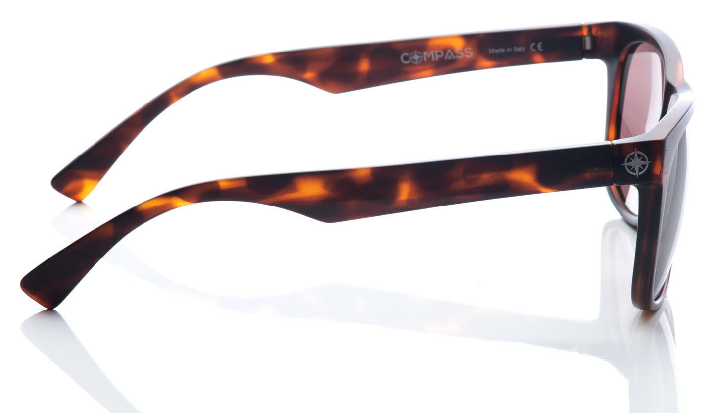 Northbound - Tortoise Shell Frame