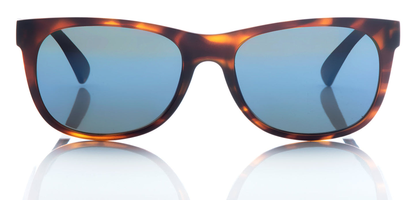 Northbound - Tortoise Shell Frame