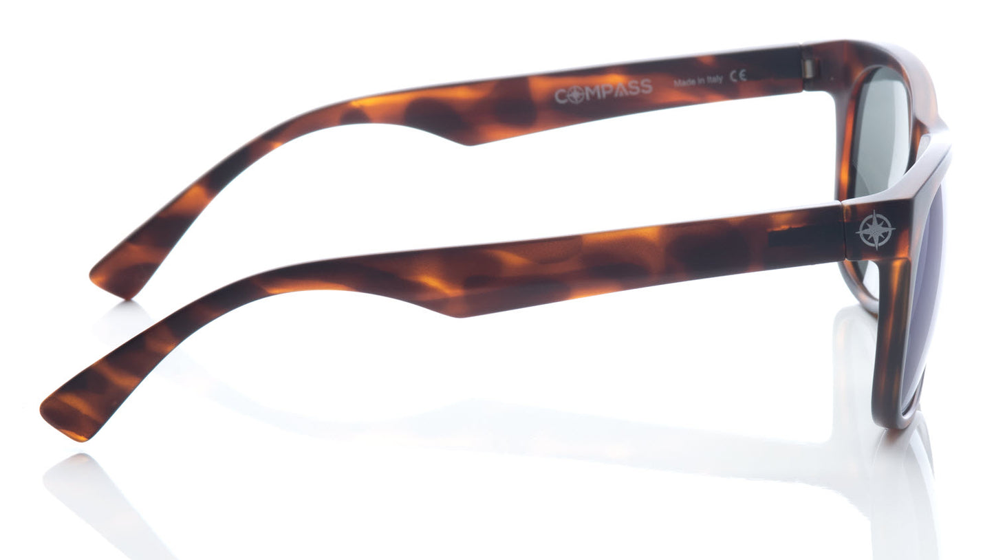 Northbound - Tortoise Shell Frame